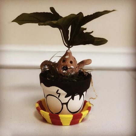 Create your own Harry Potter Planter with Screeching Mandrake: Ages 7+ VIDEO LINK INLCUDED